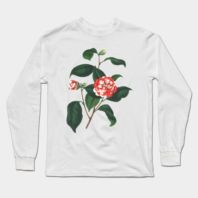 Roses are Red Long Sleeve T-Shirt by Allbestshirts